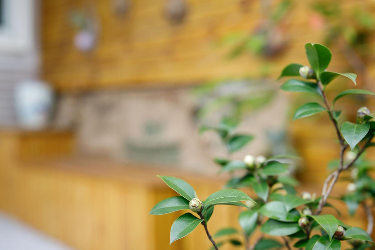 Others 5, YIJING BNB, Hualien