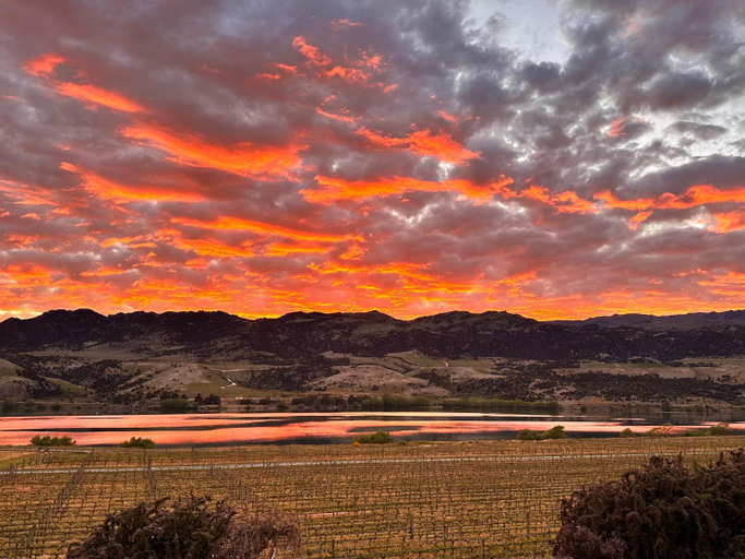 Others 3, Glamping Dome - Pinot, Central Otago