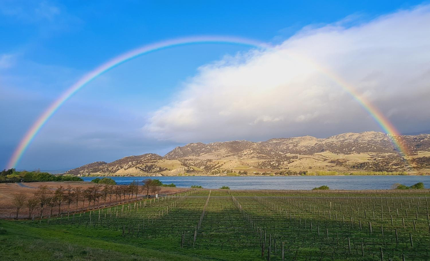 Others 4, Glamping Dome - Pinot, Central Otago