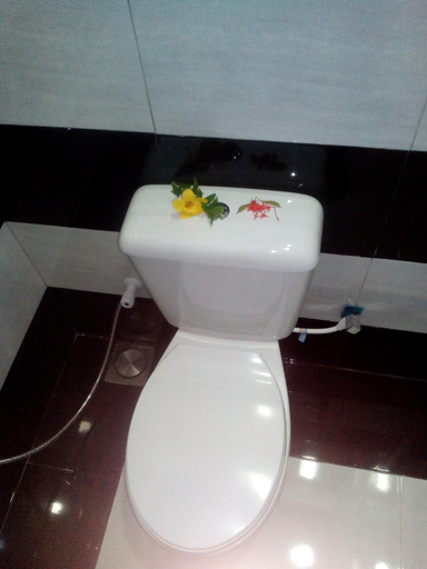 Bathroom 2, Aloe Home Stay, Dambulla