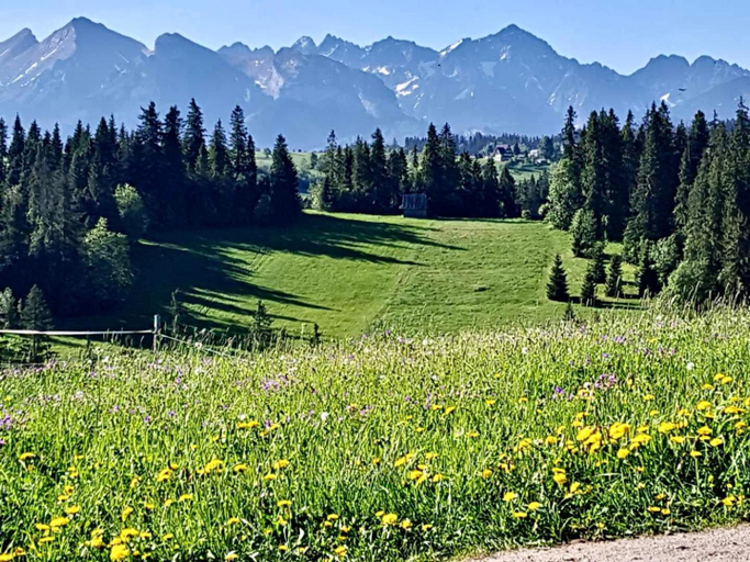 Others 4, Willa Widokowa, Tatra