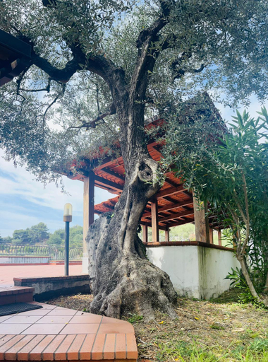Exterior & Views 1, Villa Le Anfore, Imperia