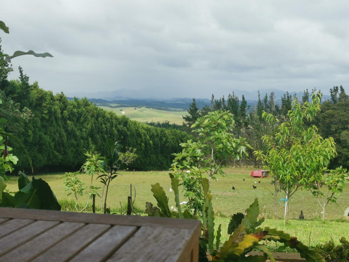 View 5, Real Relax Ninety-Nine, Whangarei
