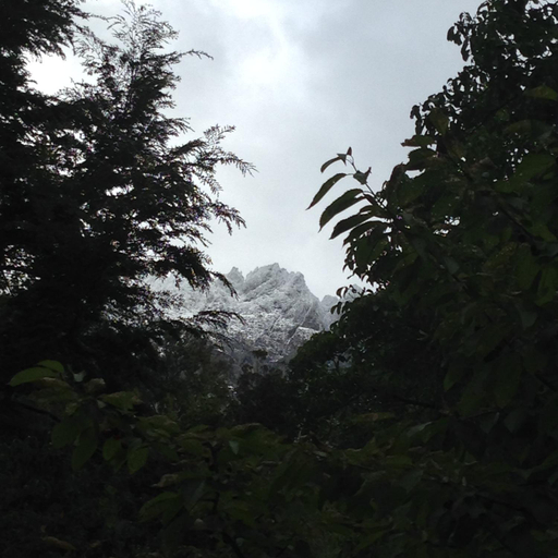 Surrounding environment, Cabana Los Abetos 1, Bariloche