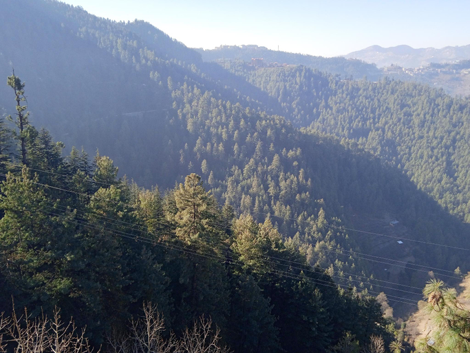 Others 5, AWAAS HOME STAY, Shimla