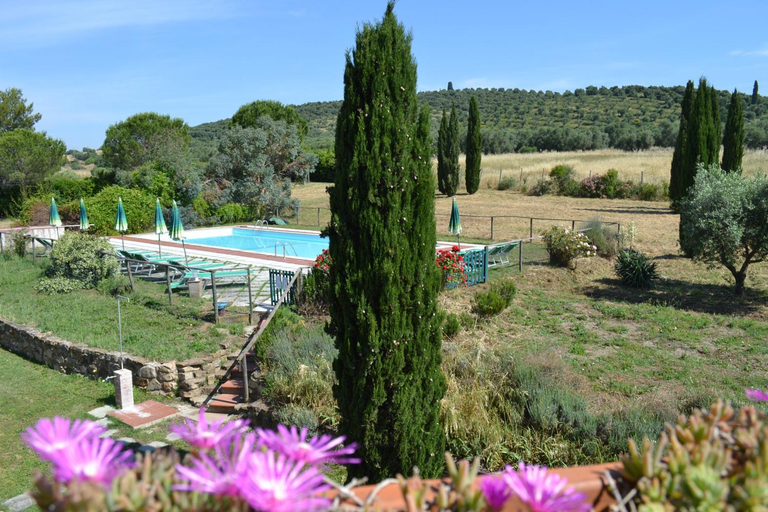 View, Podere S.Giulia - casale S.Giulia, Livorno