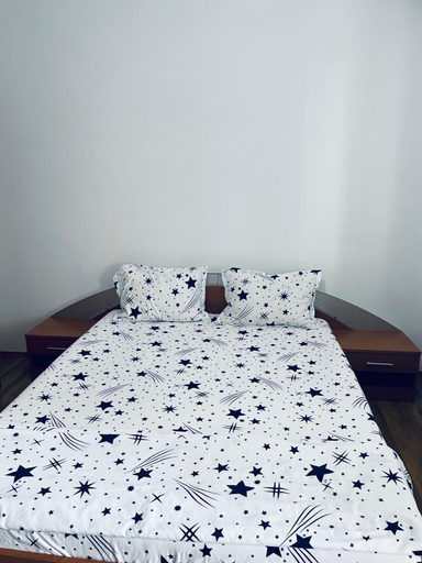 2, Central house, Craiova