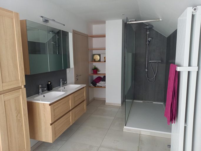 Bathroom 4, Chambre 2 lits simples - Spa, Liège