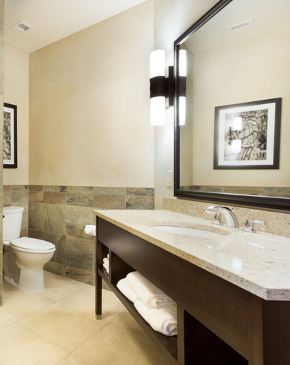 Bathroom 5, Drury Plaza Hotel in Santa Fe, Santa Fe