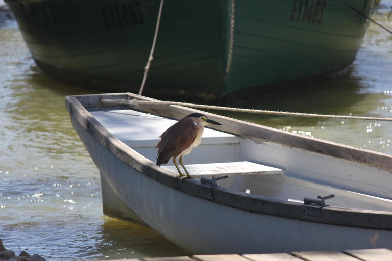 Others 5, Boathouse - Birks River Retreat, Alexandrina - Coastal