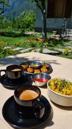 Food & Drinks 3, Cascade Mountain retreat manali, Kullu