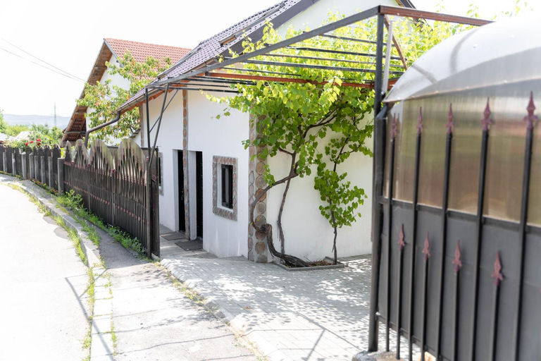Entrance, La Fanar Guesthouse, Curtea De Arges