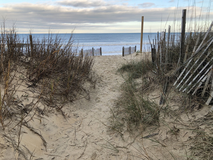 Beach 5, Blackbeard's Retreat - Historic And Pet Friendly 3 Bedroom Cottage by RedAwning, Dare