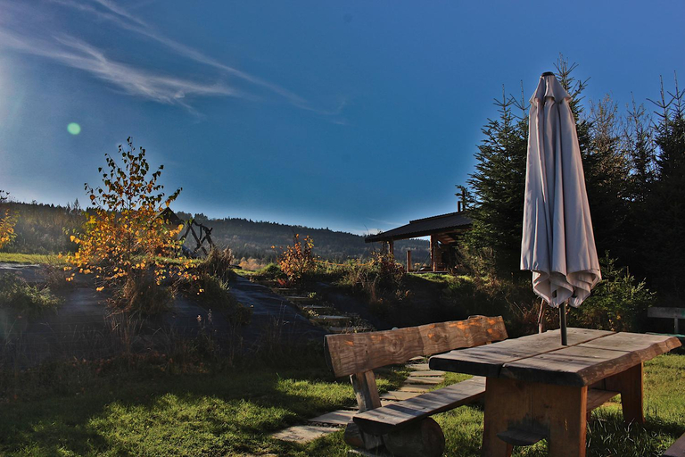 Others 5, Bies-Czaderskie Chaty, Bieszczady