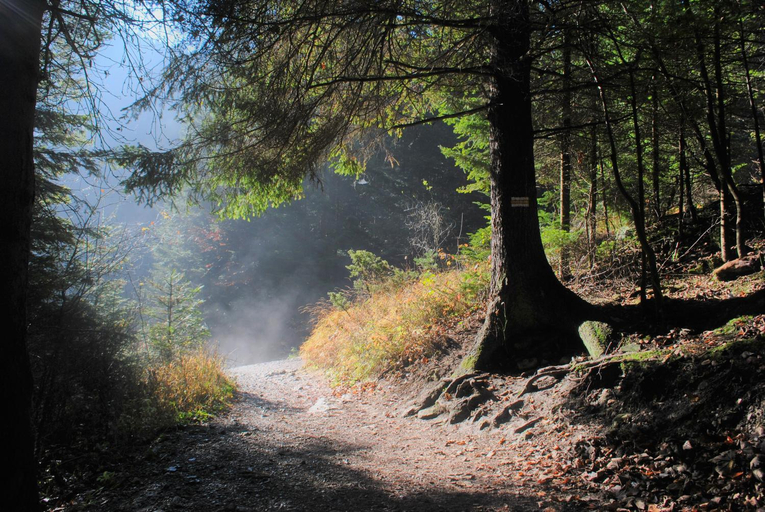 Others 5, Pokoje u Danuty, Kežmarok