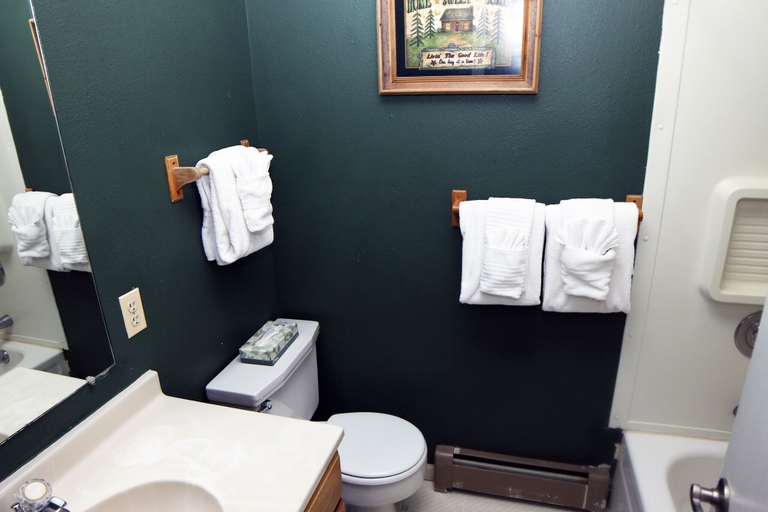 Bathroom, Fawn Valley Inn: 297 1 Bedroom Condo, Larimer