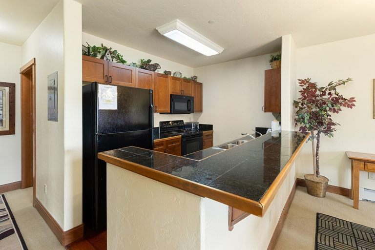 Private kitchen 5, 201 Oro Grande 2 Bedroom Condo by RedAwning, Summit