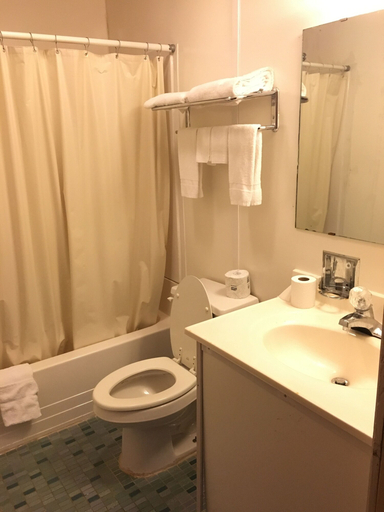 Bathroom 4, Rapids Inn and Suites, Wood