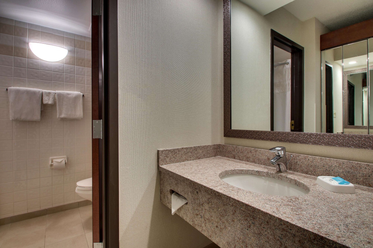 Bathroom 4, Drury Inn & Suites Bowling Green, Warren
