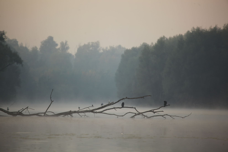 Lake 5, Apartments Vrata Baranje, Bilje