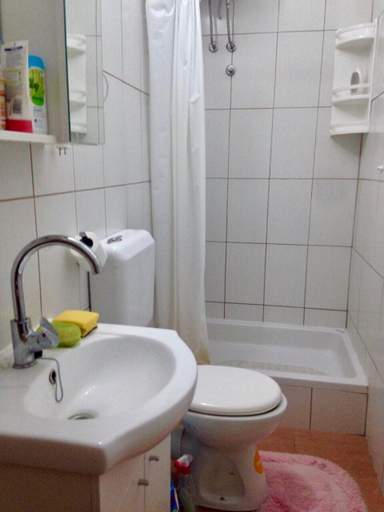 Bathroom 3, Guest house Brodarica, Šibenik
