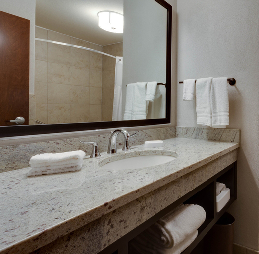 Bathroom 4, Drury Plaza Hotel Cape Girardeau Conference Center, Cape Girardeau