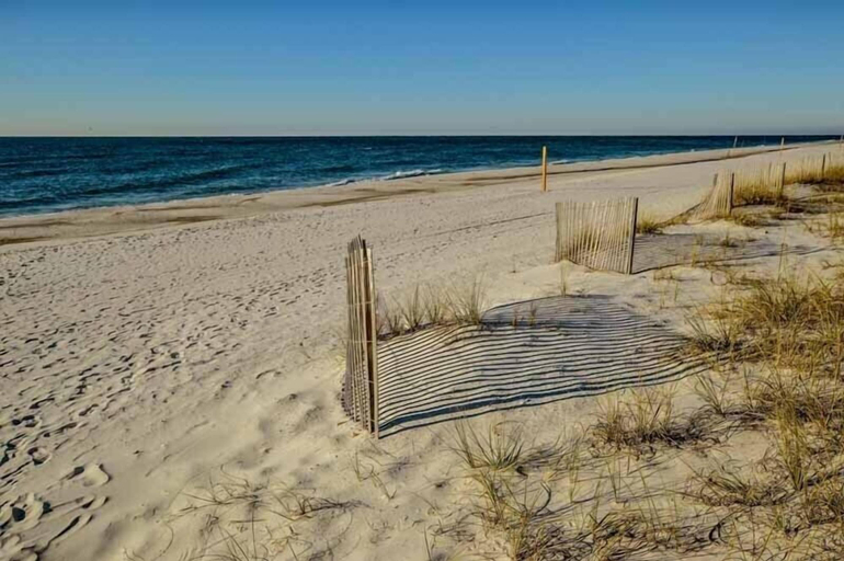 Others 5, Tropical Winds Unit 301, Baldwin