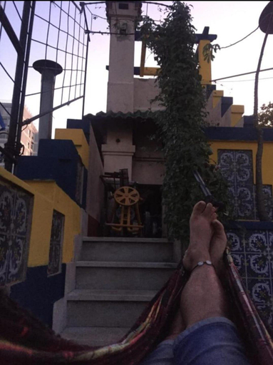Garden, Hostel Juniors, Distrito Federal
