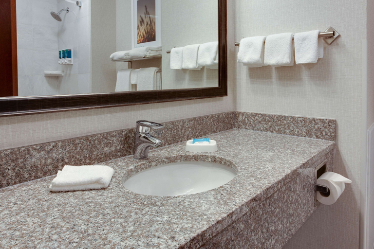 Bathroom 4, Drury Inn & Suites West Des Moines, Polk