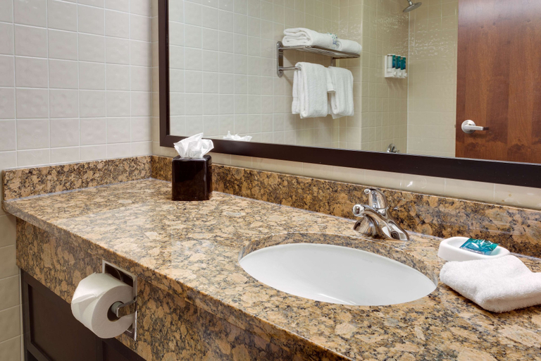 Bathroom 3, Drury Inn & Suites San Antonio Northeast, Bexar