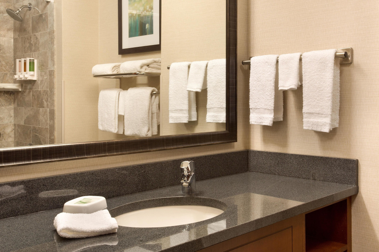 Bathroom 4, Drury Inn & Suites Burlington, Alamance