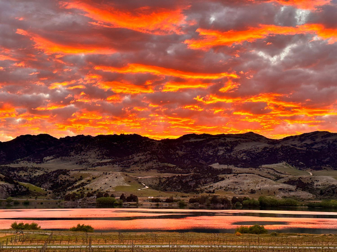 Others 5, Glamping Dome - Rose, Central Otago