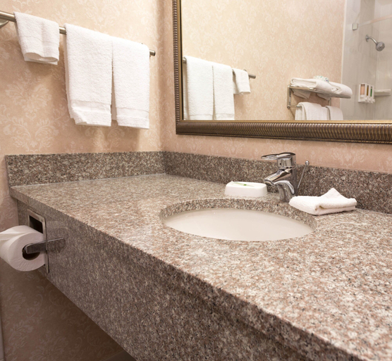 Bathroom 4, Drury Inn & Suites St. Louis Forest Park, Saint Louis