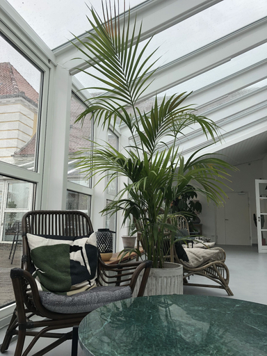 Sundeck, Hotel VANDret, Hjørring