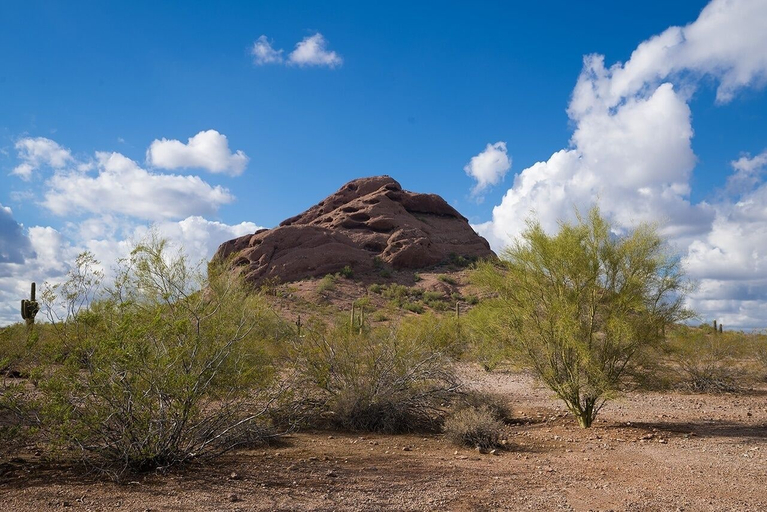 Property grounds 5, 146 Fully Furnished 1BR Suite-Pet Friendly! by RedAwning, Maricopa