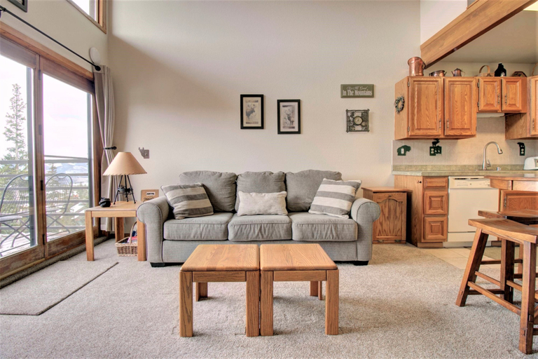 Living area 4, Dd402e Buffalo Village Studio 1 Bedroom Condo by RedAwning, Summit