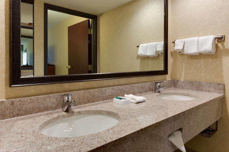Bathroom 4, Drury Inn & Suites Birmingham Grandview, Jefferson