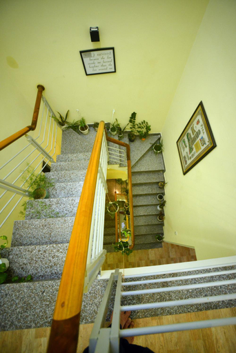 Others 3, Quynhonhomestaybnb, Qui Nhơn