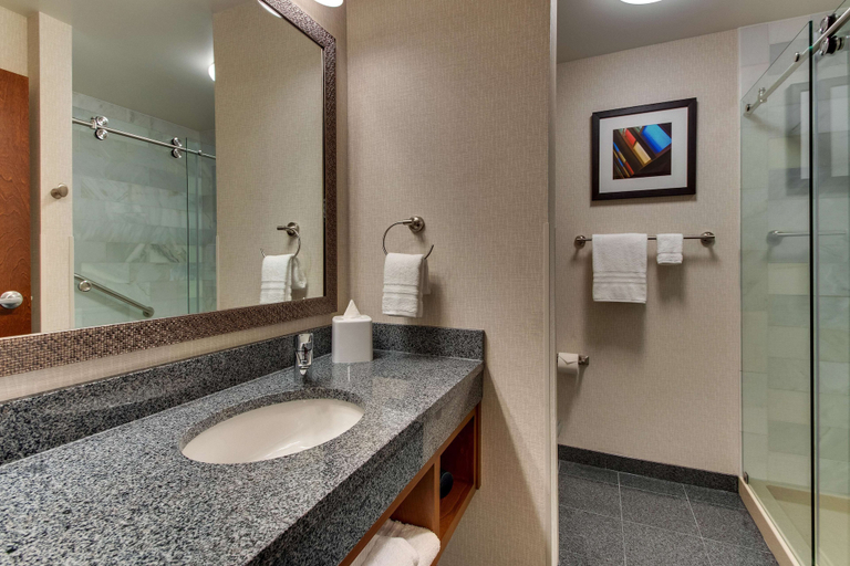 Bathroom 5, Drury Plaza Hotel Nashville Downtown, Davidson