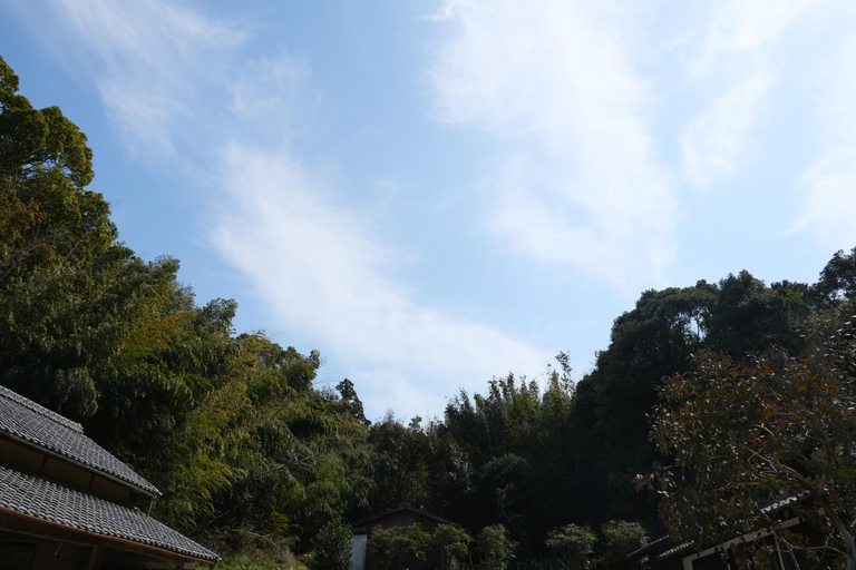 View, 橙日, Shima