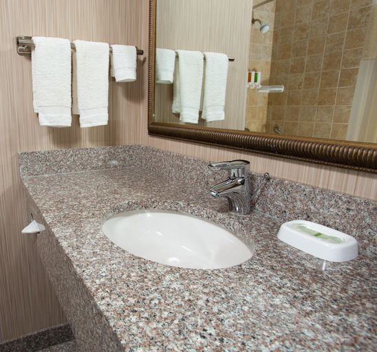 Bathroom 3, Drury Inn & Suites Columbia Stadium Boulevard, Boone