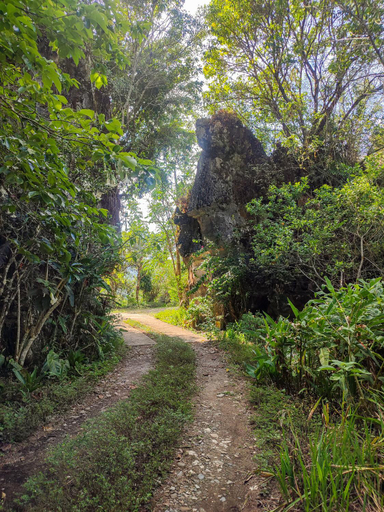 Others 3, Rm 207 Mhapiya-aw Pensione Inn, Sagada