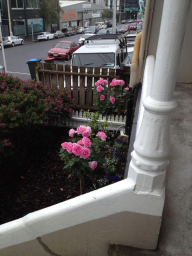 Others 5, Ponsonby Boutique Villa with Private Gym, Waitakere