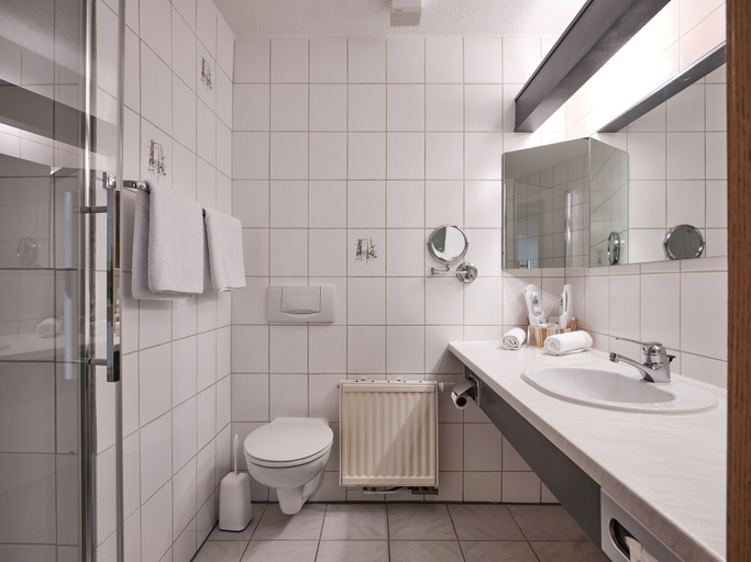 Bathroom 2, Hotel am Hochrhein, Waldshut