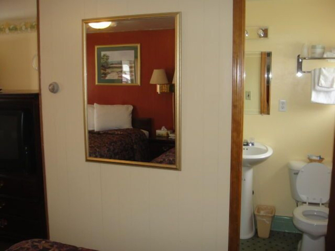 Bathroom, Standish Motel, Arenac