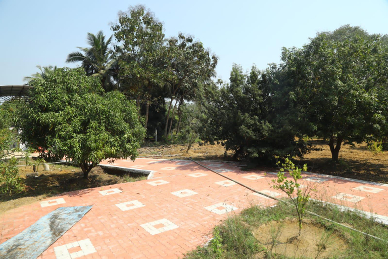 Others 5, mango ranch, Thiruvallur