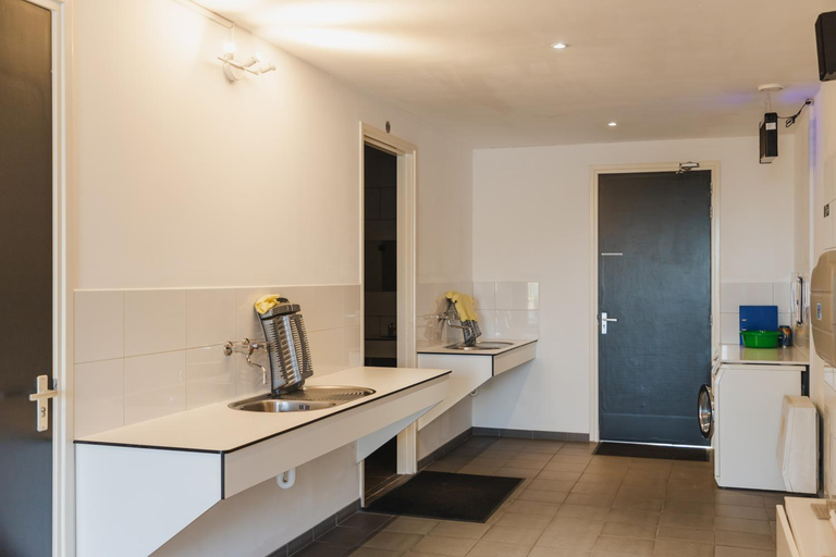 Bathroom, Tinyhouse Spiegelpeer, De Wolden