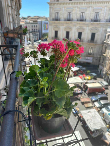 5, Beneventano Apartment Catania, Catania