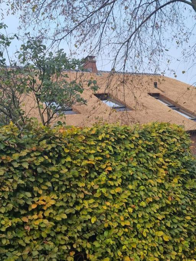Others 5, 8 person apartment with heated swimmingpool Hoek van Winssen, Druten