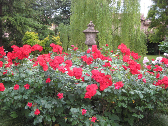 Garden 5, Villa Adelaide, Udine